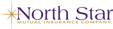 North Star logo.png