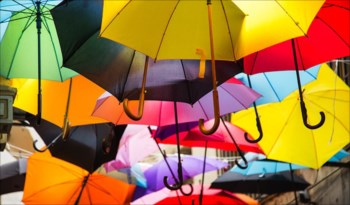 RLI Personal Umbrella